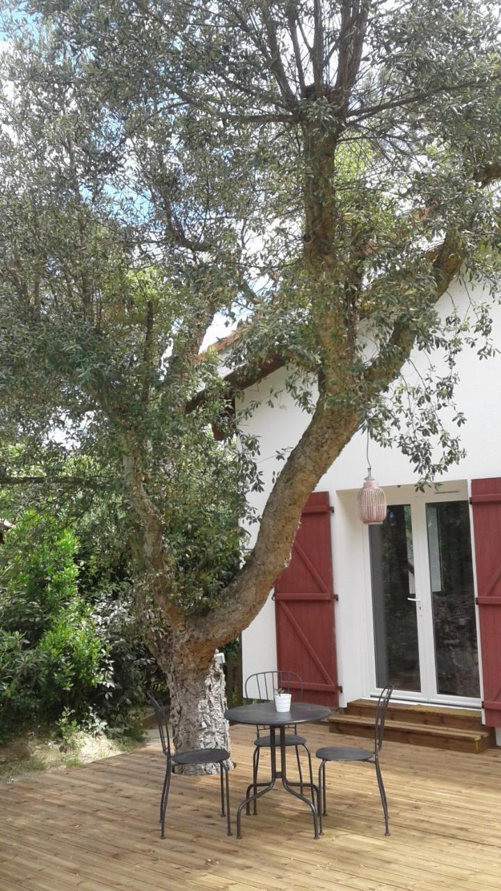 וייה-בוקו-לה-באן Maysoe Chambres D'Hotes מראה חיצוני תמונה